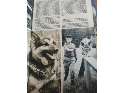 Foto 59